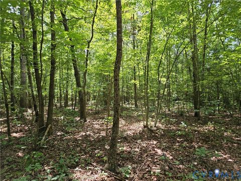 Tiny photo for 4809 W James Anderson Highway, Gladstone, VA 24553 (MLS # 2608243)