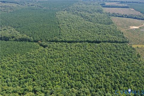 Tiny photo for 4809 W James Anderson Highway, Gladstone, VA 24553 (MLS # 2608243)