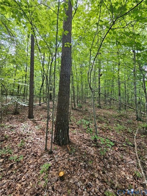 Tiny photo for 4809 W James Anderson Highway, Gladstone, VA 24553 (MLS # 2608243)