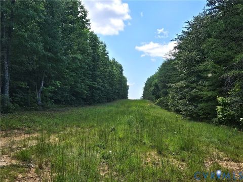 Tiny photo for 4809 W James Anderson Highway, Gladstone, VA 24553 (MLS # 2608243)