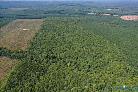 Tiny photo for 4809 W James Anderson Highway, Gladstone, VA 24553 (MLS # 2608243)