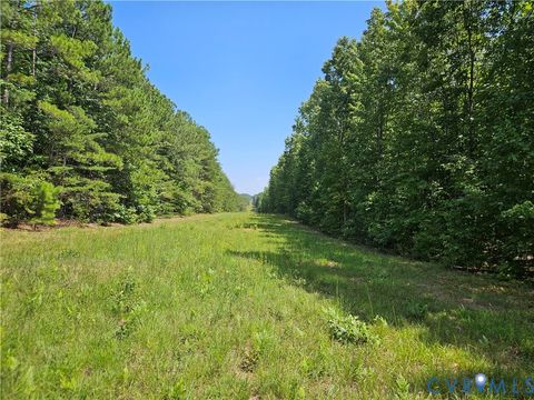 Tiny photo for 4809 W James Anderson Highway, Gladstone, VA 24553 (MLS # 2608243)