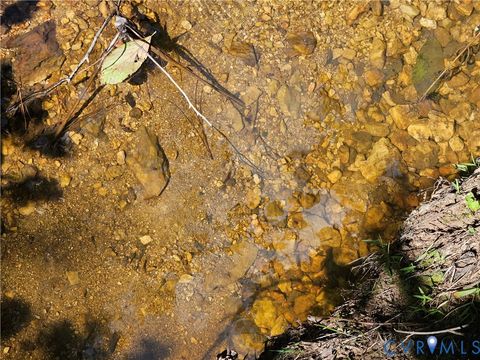 Tiny photo for 4809 W James Anderson Highway, Gladstone, VA 24553 (MLS # 2608243)