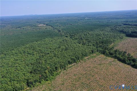 Tiny photo for 4809 W James Anderson Highway, Gladstone, VA 24553 (MLS # 2608243)
