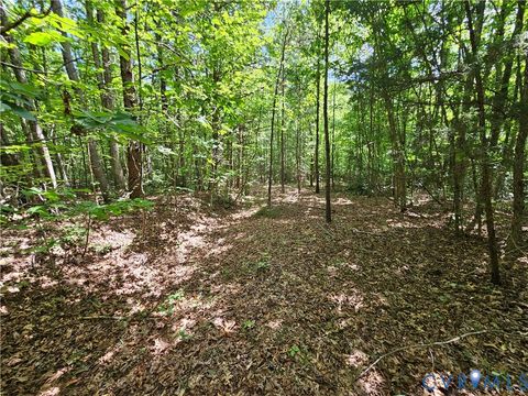 Tiny photo for 4809 W James Anderson Highway, Gladstone, VA 24553 (MLS # 2608243)