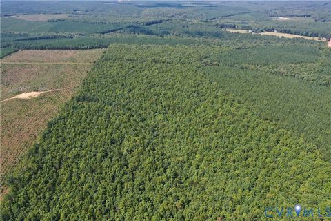 Tiny photo for 4809 W James Anderson Highway, Gladstone, VA 24553 (MLS # 2608243)