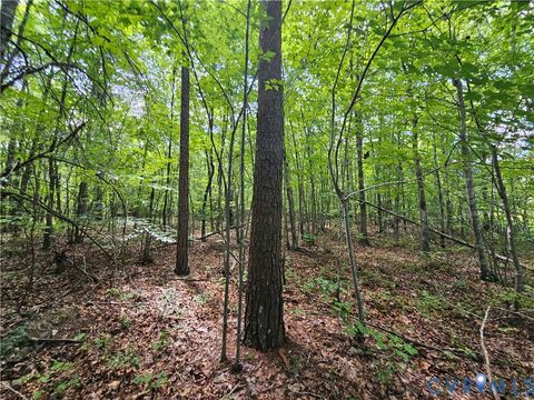 Tiny photo for 4809 W James Anderson Highway, Gladstone, VA 24553 (MLS # 2608243)