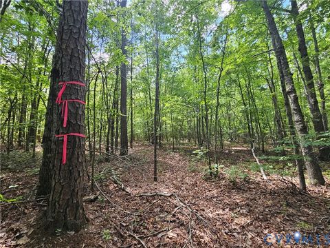 Tiny photo for 4809 W James Anderson Highway, Gladstone, VA 24553 (MLS # 2608243)