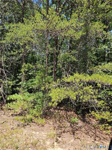 Tiny photo for 4809 W James Anderson Highway, Gladstone, VA 24553 (MLS # 2608243)