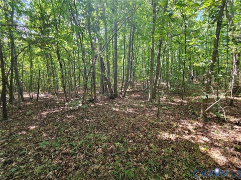 Tiny photo for 4809 W James Anderson Highway, Gladstone, VA 24553 (MLS # 2608243)