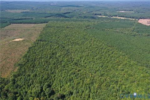 Tiny photo for 4809 W James Anderson Highway, Gladstone, VA 24553 (MLS # 2608243)