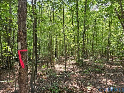 Tiny photo for 4809 W James Anderson Highway, Gladstone, VA 24553 (MLS # 2608243)