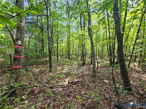 Tiny photo for 4809 W James Anderson Highway, Gladstone, VA 24553 (MLS # 2608243)