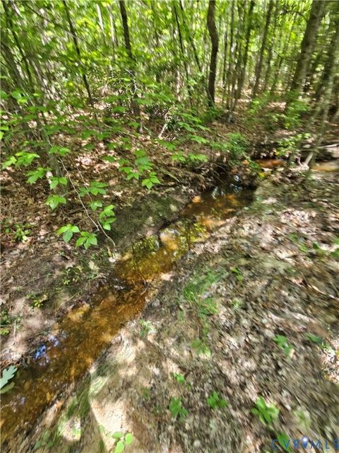 Tiny photo for 4809 W James Anderson Highway, Gladstone, VA 24553 (MLS # 2608243)