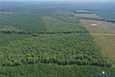 Tiny photo for 4809 W James Anderson Highway, Gladstone, VA 24553 (MLS # 2608243)