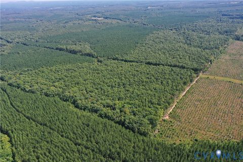 Tiny photo for 4809 W James Anderson Highway, Gladstone, VA 24553 (MLS # 2608243)