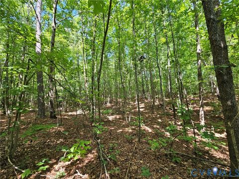 Tiny photo for 4809 W James Anderson Highway, Gladstone, VA 24553 (MLS # 2608243)