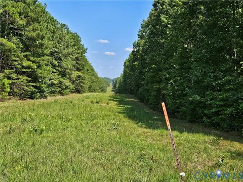Tiny photo for 4809 W James Anderson Highway, Gladstone, VA 24553 (MLS # 2608243)