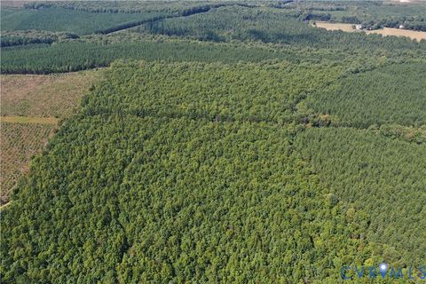 Tiny photo for 4809 W James Anderson Highway, Gladstone, VA 24553 (MLS # 2608243)