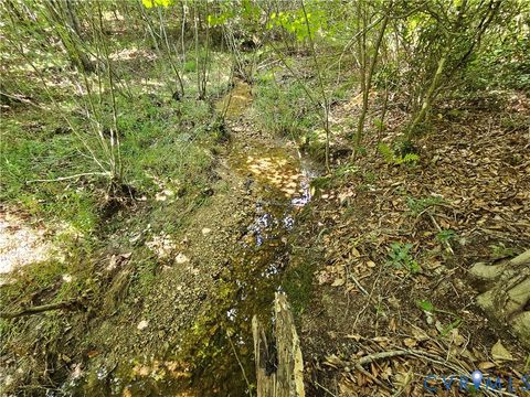 Tiny photo for 4809 W James Anderson Highway, Gladstone, VA 24553 (MLS # 2608243)