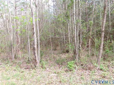 Tiny photo for 69-(6)-1 Lew Jones Road, DeWitt, VA 23840 (MLS # 2609564)
