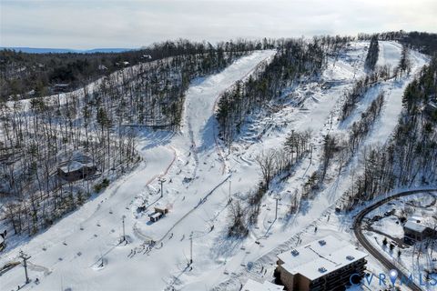 Tiny photo for 1401 Moccasin Way, Basye, VA 22810 (MLS # 2605009)