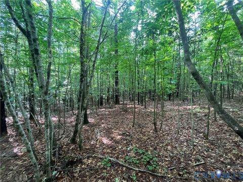 Tiny photo for 00 Country Lane, Gasburg, VA 23857 (MLS # 2527744)
