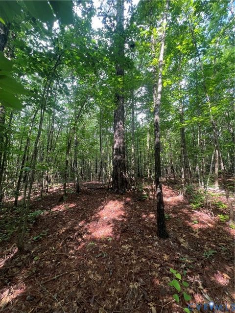 Tiny photo for 00 Country Lane, Gasburg, VA 23857 (MLS # 2527744)