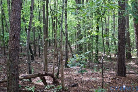 Tiny photo for 7246 Macdonald Road, Scottsburg, VA 24589 (MLS # 2529976)