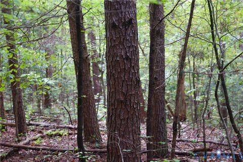 Tiny photo for 7246 Macdonald Road, Scottsburg, VA 24589 (MLS # 2529976)