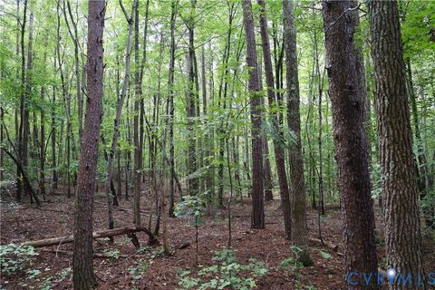 Tiny photo for 7246 Macdonald Road, Scottsburg, VA 24589 (MLS # 2529976)