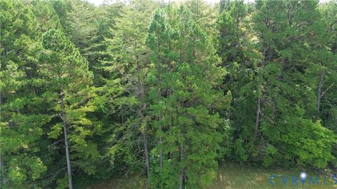 Tiny photo for 7246 Macdonald Road, Scottsburg, VA 24589 (MLS # 2529976)