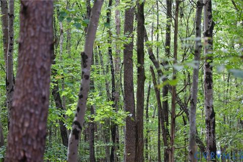 Tiny photo for 7246 Macdonald Road, Scottsburg, VA 24589 (MLS # 2529976)