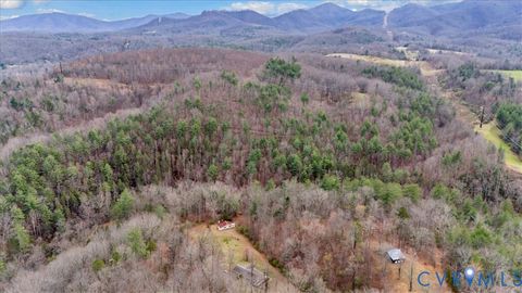 Tiny photo for 1275 Tall Peaks Lane, Big Island, VA 24526 (MLS # 2614347)
