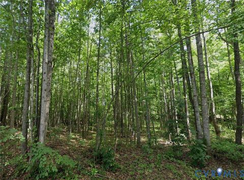 Tiny photo for 00 Burkeville Road, Victoria, VA 23974 (MLS # 2615189)