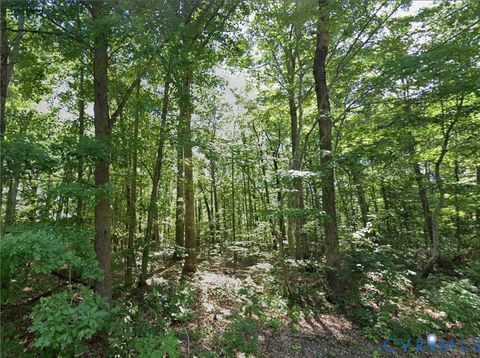 Tiny photo for 00 Burkeville Road, Victoria, VA 23974 (MLS # 2615189)