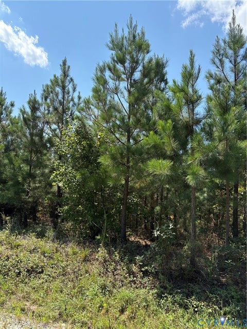 Tiny photo for 0 Maxey Mill, Cumberland, VA 23040 (MLS # 2624832)
