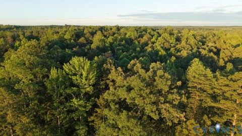Tiny photo for 0 Barton Road, Green Bay, VA 23942 (MLS # 2624484)