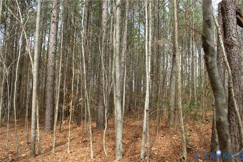 Tiny photo for TBD Greentown Drive, Lawrenceville, VA 23868 (MLS # 2606571)
