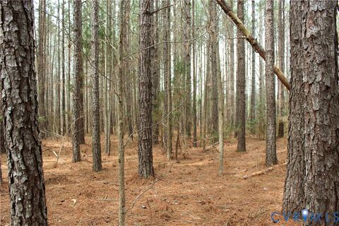 Tiny photo for TBD Greentown Drive, Lawrenceville, VA 23868 (MLS # 2606571)