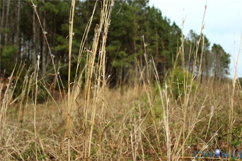 Tiny photo for TBD Greentown Drive, Lawrenceville, VA 23868 (MLS # 2606571)