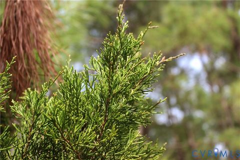 Tiny photo for TBD Greentown Drive, Lawrenceville, VA 23868 (MLS # 2606571)