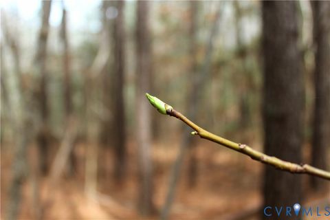 Tiny photo for TBD Greentown Drive, Lawrenceville, VA 23868 (MLS # 2606571)