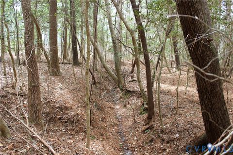 Tiny photo for TBD Greentown Drive, Lawrenceville, VA 23868 (MLS # 2606571)