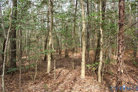 Tiny photo for TBD Greentown Drive, Lawrenceville, VA 23868 (MLS # 2606571)