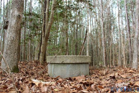 Tiny photo for TBD Greentown Drive, Lawrenceville, VA 23868 (MLS # 2606571)