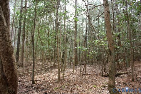 Tiny photo for TBD Greentown Drive, Lawrenceville, VA 23868 (MLS # 2606571)