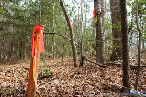 Tiny photo for TBD Greentown Drive, Lawrenceville, VA 23868 (MLS # 2606571)