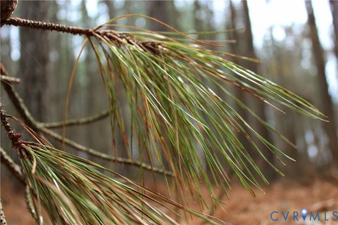 Tiny photo for TBD Greentown Drive, Lawrenceville, VA 23868 (MLS # 2606571)