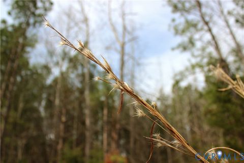 Tiny photo for TBD Greentown Drive, Lawrenceville, VA 23868 (MLS # 2606571)